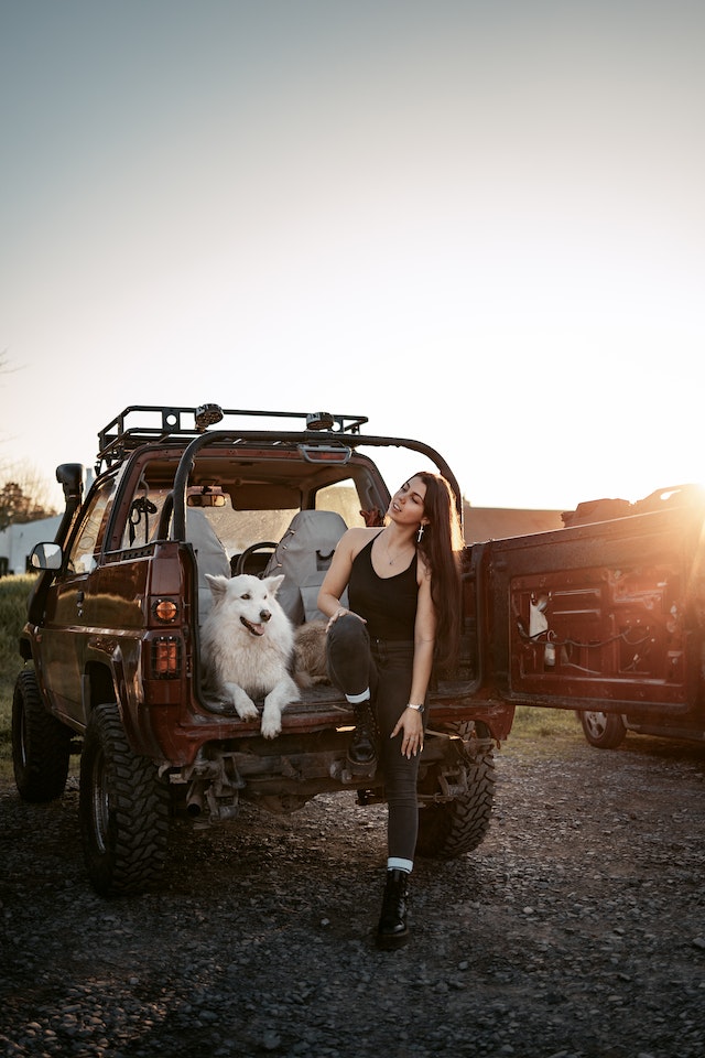 Tips for planning a pet-friendly road trip